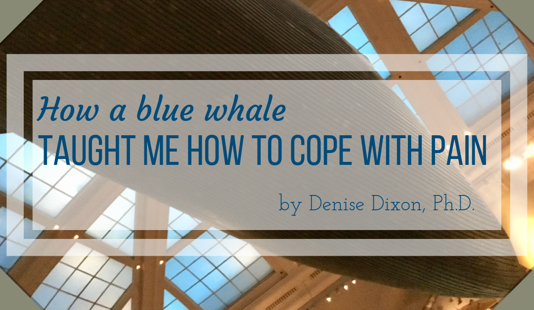 How a blue whale taught me how to cope with pain
